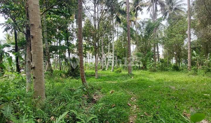 DIJUAL TANAH MURAH SHM 1,6 ha , JAUH DIBAWAH NJOP, JL.MENTOR, SAYAP PASTEUR