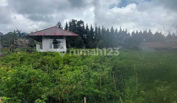 Disewakan Tanah di Mainroad Jl. Kol. Masturi, Lembang