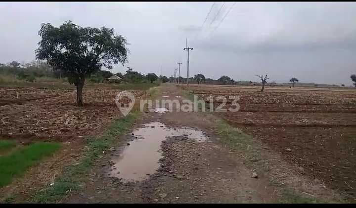 Tanah Padat Zona Industri Dekat Tol Bandara Kertajati Majalengka