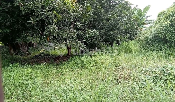 Jual Cepat Tanah Biliymoon Pondok Kelapa Jakarta Timur