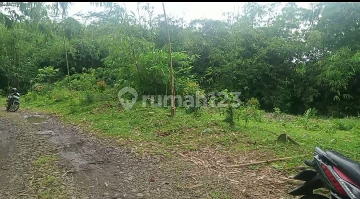 Tanah untuk Usaha Ternak