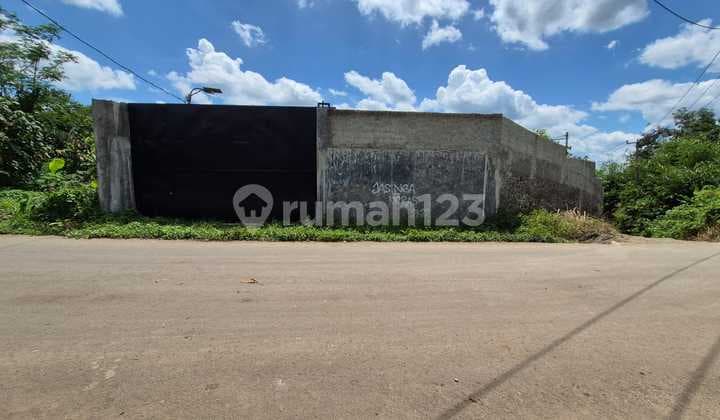 Capendis Banana Plantation