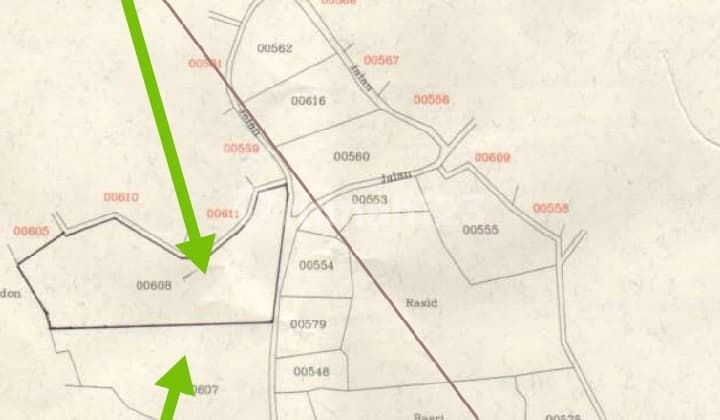 Land for Livestock and Gardening Business