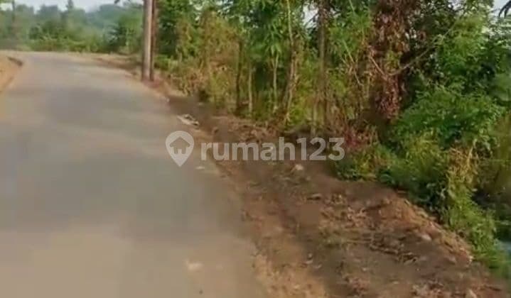 tanah murah untuk usaha ternak dan juga berkebun