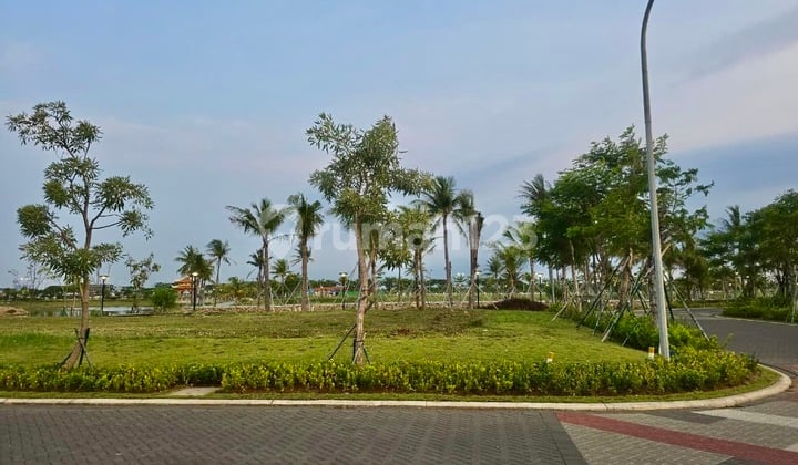 Exclusive Diamond Plot, White Sand, Hook Position.