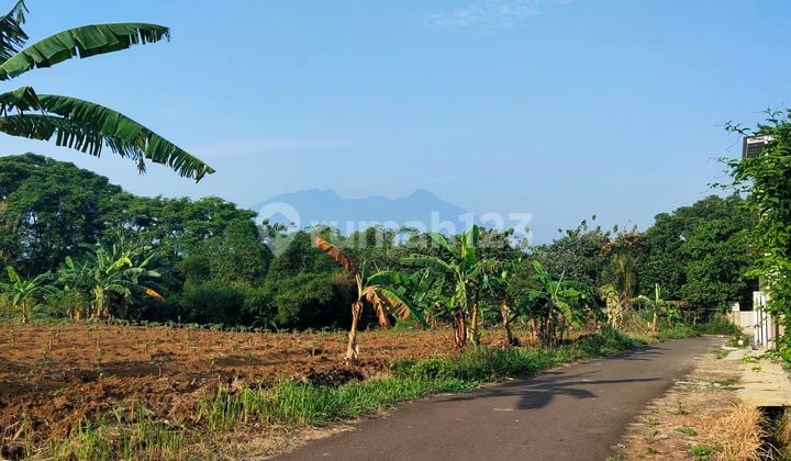Residential Plot Price for Village Land in Pakuan 2 Tajur Bogor.