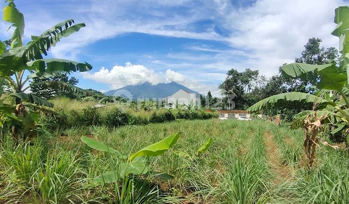 Nice View Plots at Affordable Prices in Pakuan 2 Tajur