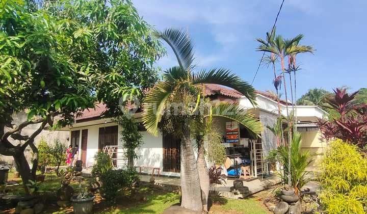Rumah Dan Kavling Super Tenang Dan Nyaman Di Bogor