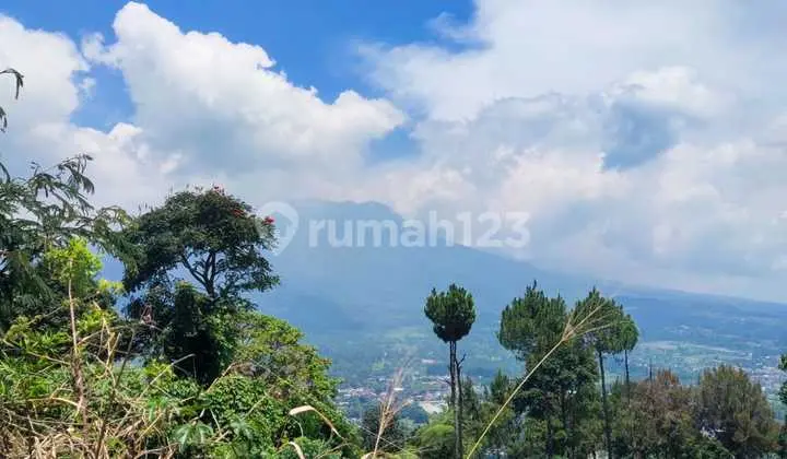 Solution for Slow Living in Puncak