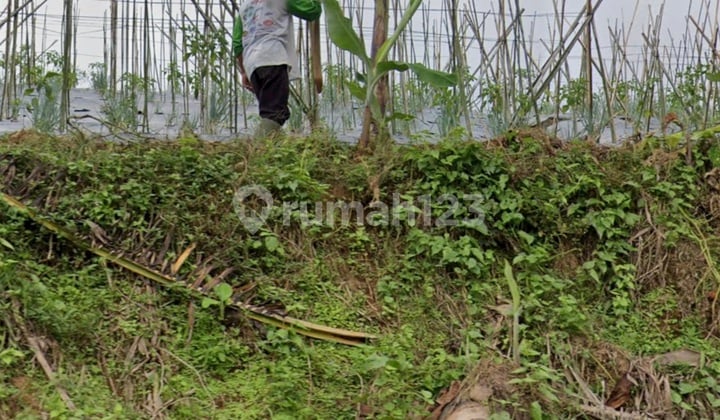 Land for Sale in Negeri di Atas Awan, Suitable for Villa, Restaurant, Cafe, Sukabumi.