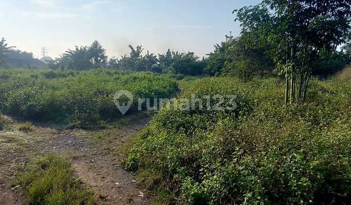 Dijual Tanah Kavling Murah Legok Cocok untuk Investasi Gudang Pabrik Perumahan