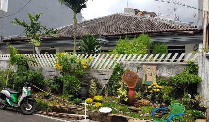 Dijual Rumah Cempaka Putih Lokasi Strategis Jakarta Pusat Bebas Banjir Siap Huni Bagus