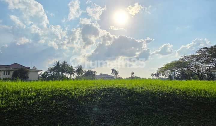 Dijual Cepat Kavling Boulevard Palem Raya Lippo Karawaci