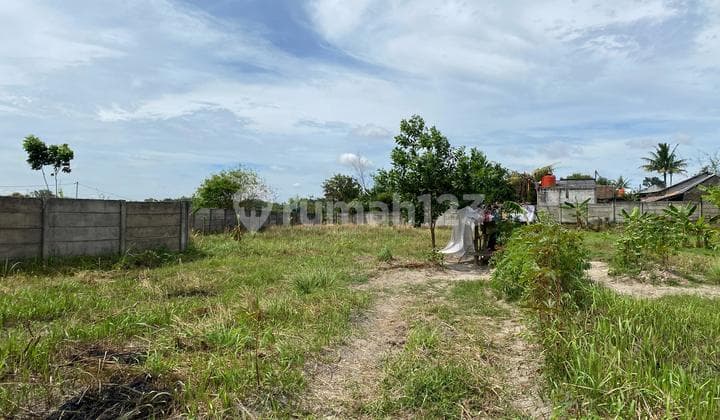 Dijual Cepat Tanah Di Tigaraksa Tangerang