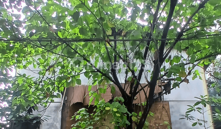 Warehouse Workshop on Jl Raya Serang for Sale. Quick Cash Only.