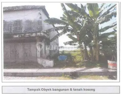Tanah SHM Dijual Dekat Jalan Raya Cocok untuk Perumahan