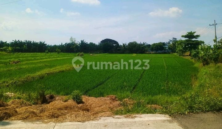 Tanah Strategis Cocok Untuk Perumahan Lokasi Menganti