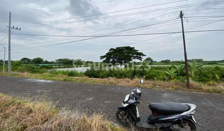 Strategic Land Near Pantura Road, Duduk Sampeyan, Gresik