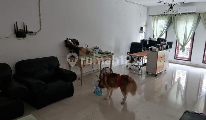 Dijual Cepat Rumah Rapih Siap Huni Di Sunter Paradise