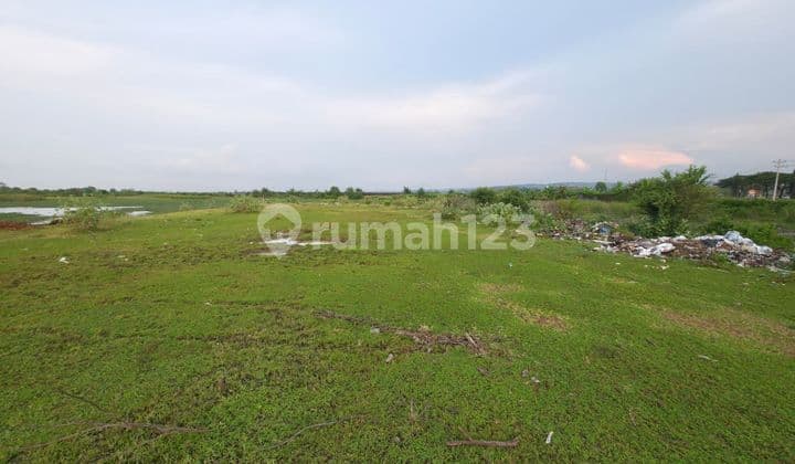 Dijual Tanah di Jalan Pantura Sumberejo, Kendal