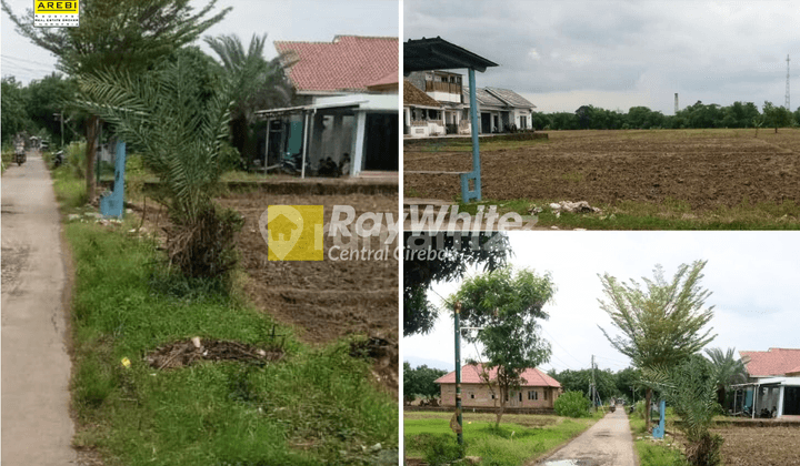 Land for Sale in Ciborelang, Jatiwangi, Majalengka