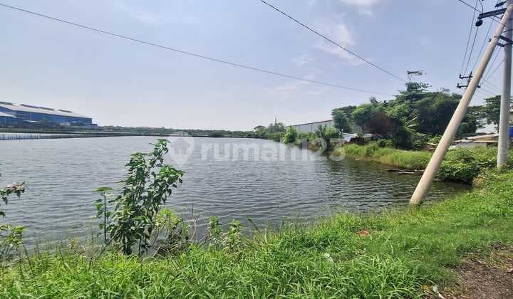 Dijual Tanah SHM Sudah Urug di Kaliwungu, Kendal