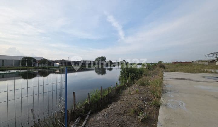 Jual Tanah di Kutoharjo, Kaliwungu, Kendal