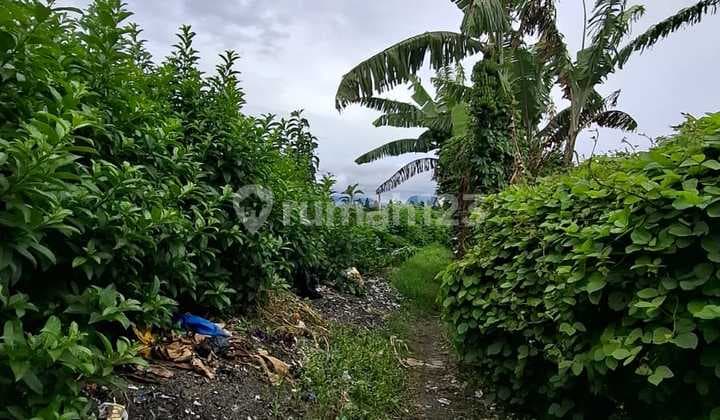 Tanah / Kavling Murah Daerah Lembang Jl Repelita