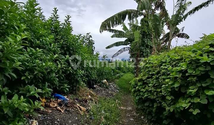 Tanah / Kavling Murah Daerah Lembang Jl Repelita