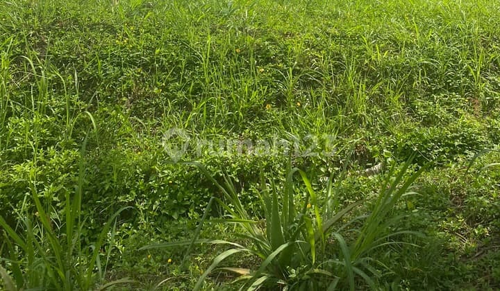 Land For Sale On Setiabudi Main Road Bandung Can Be Split