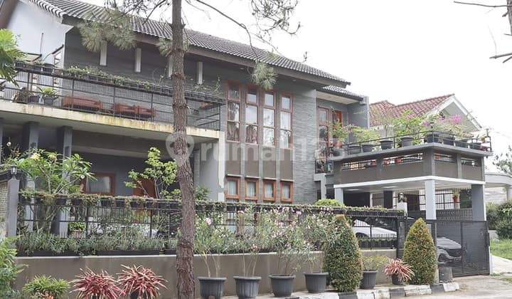 Rumah Rasa Villa Sejuk Segar Siap Huni Graha Puspa