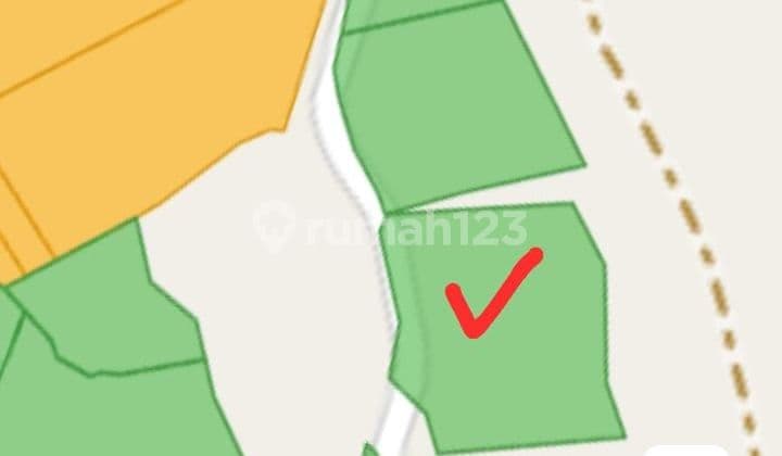 Kebun Durian Luas Produktif Lokasi Pinggir Jalan Raya