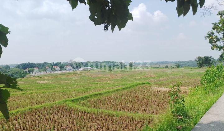 Lahan luas untuk perumahan