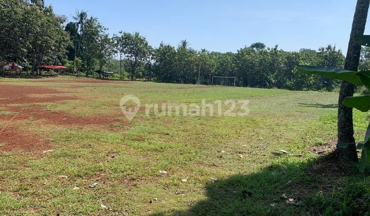 Extensive Plantation and Livestock Land