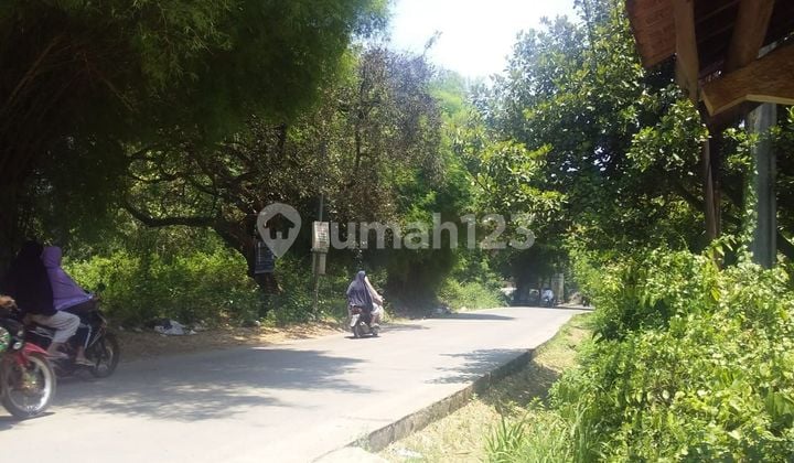 Lahan Luas Pinggir Jalan Raya