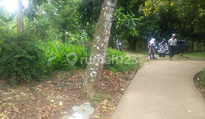 Lahan Kebun 400mt2