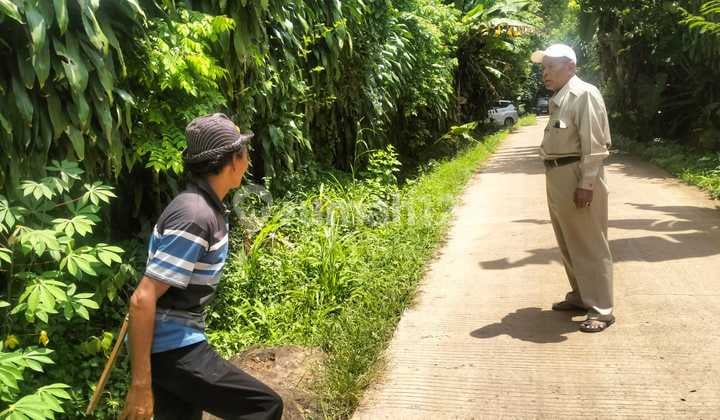 Lahan Kebun Dijual Murah Lokasi Sangat Bagus di Pegunungan Asri Dekat dengan Rencana Ibukota Bogor Timur