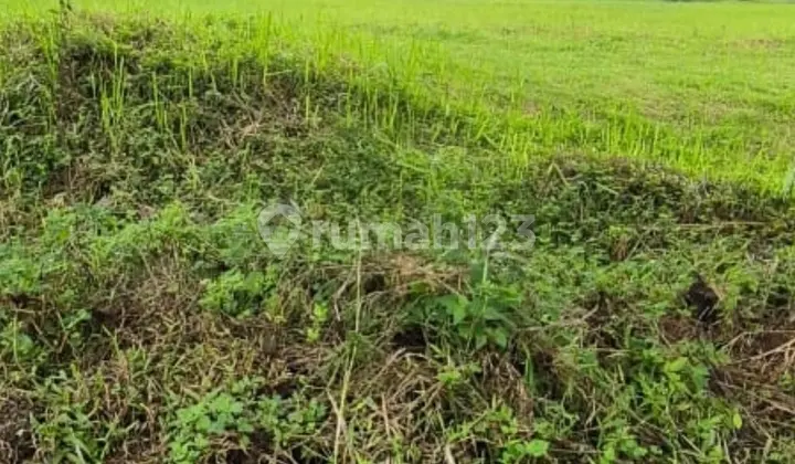 Affordable Land for Sale, Ready to Build in a Premium Cluster at Citra Raya Tangerang
