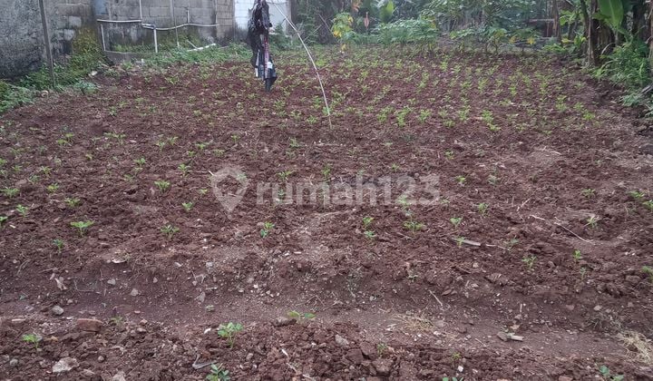 Dijual Tanah Darat Dekat Tol Grand Wisata Tambun Selatan -Bekasi.