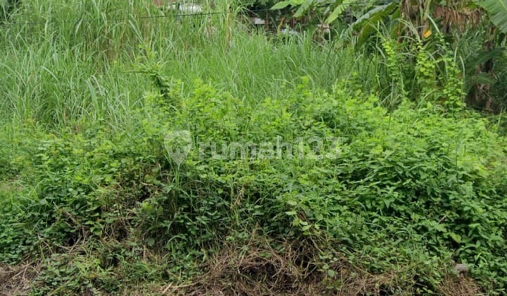 Tanah Siap Bangun Lokasi One Gate Sistem Dekat Trans Icon Dan Masji Al Akbar