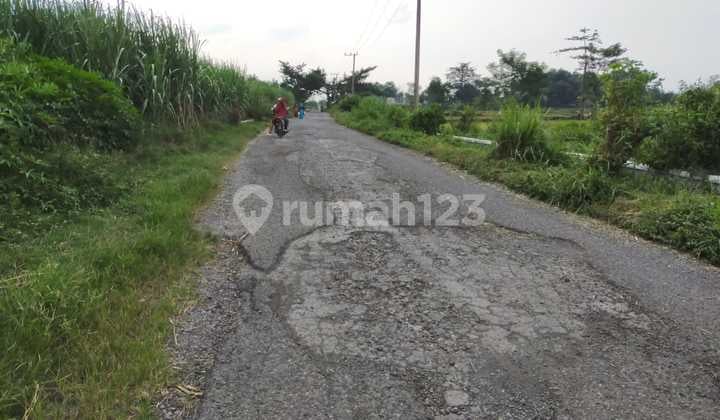 Tanah di Sukorejo Lokasi bisa di Lalui Truk@