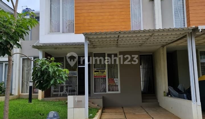 Rent Ivy Park BSB City