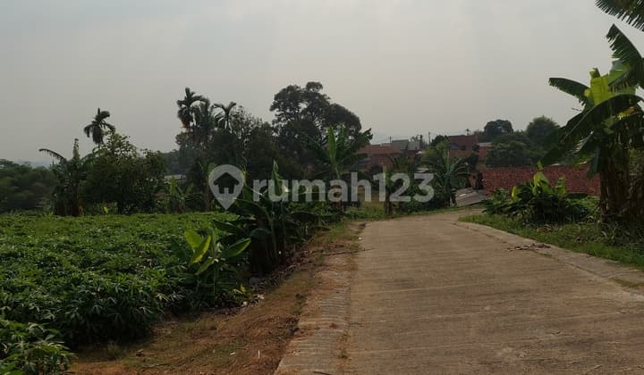 Tanah Lahan Zona Perumahan Dipabuaran Kemang Bogor Bebas Banjir