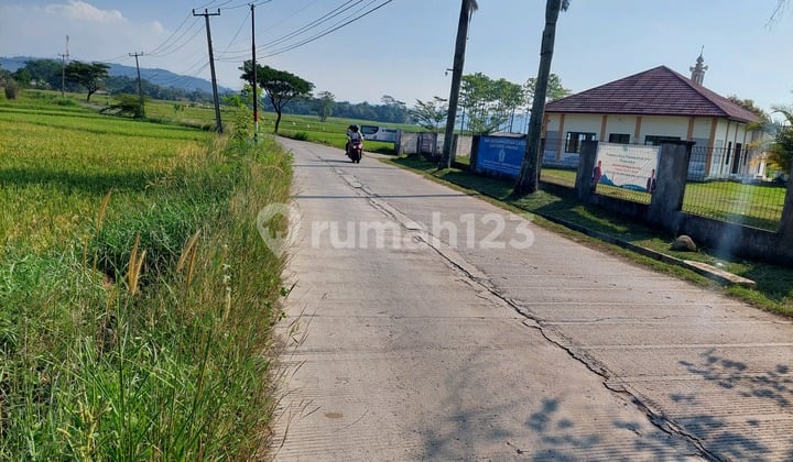 Tanah Pinggir Jalan Mekarwangi Cariu Arah Puncak Dua Gunung Batu