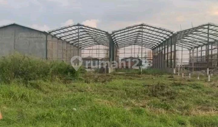 Ada Kavling Gandeng Bnyak, Lokasi Sdh Ramai Pergudangan.akses Toll dan Komplek Akses Container 40 Feet. Ada 12 Unit Kavling. Uk 15X62m². Harga 6Jt/M² Nego Sampai Dealll