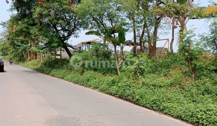 Lahan darat padat siap pakai