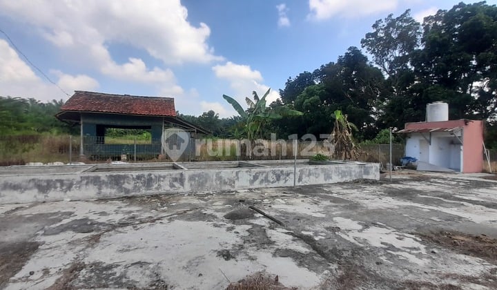 Tanah Dijual di Desa Candali, Ranca Bungur, Kabupaten Bogor.