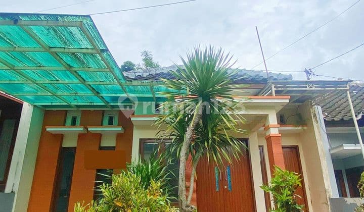 Rumah Bagus Modern Jual Cepat Di Sulfat Blimbing
