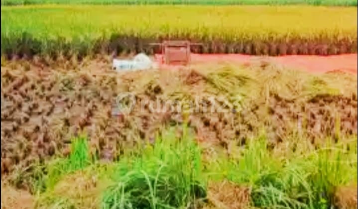 Dijual Tanah Lokasi Emas Cocok untuk Rumah Mewah, Villa, Kos2an