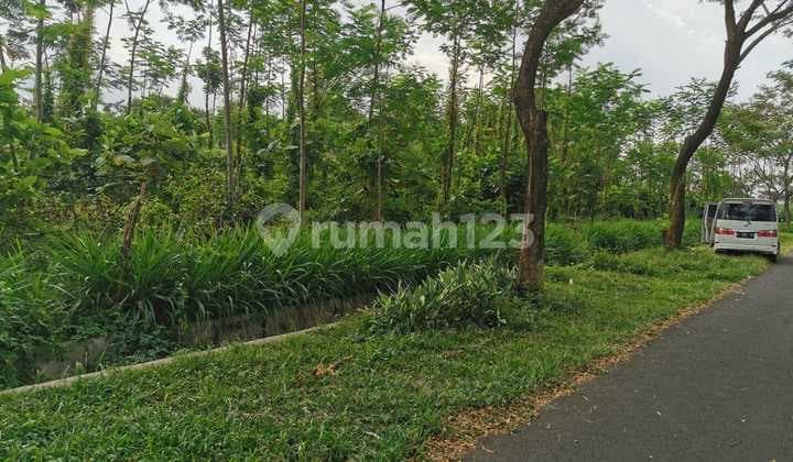 Tanah Murah Di Poros Jalan Lanud Abdul Rahman Saleh